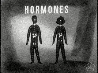 Examination of the Endocrine System