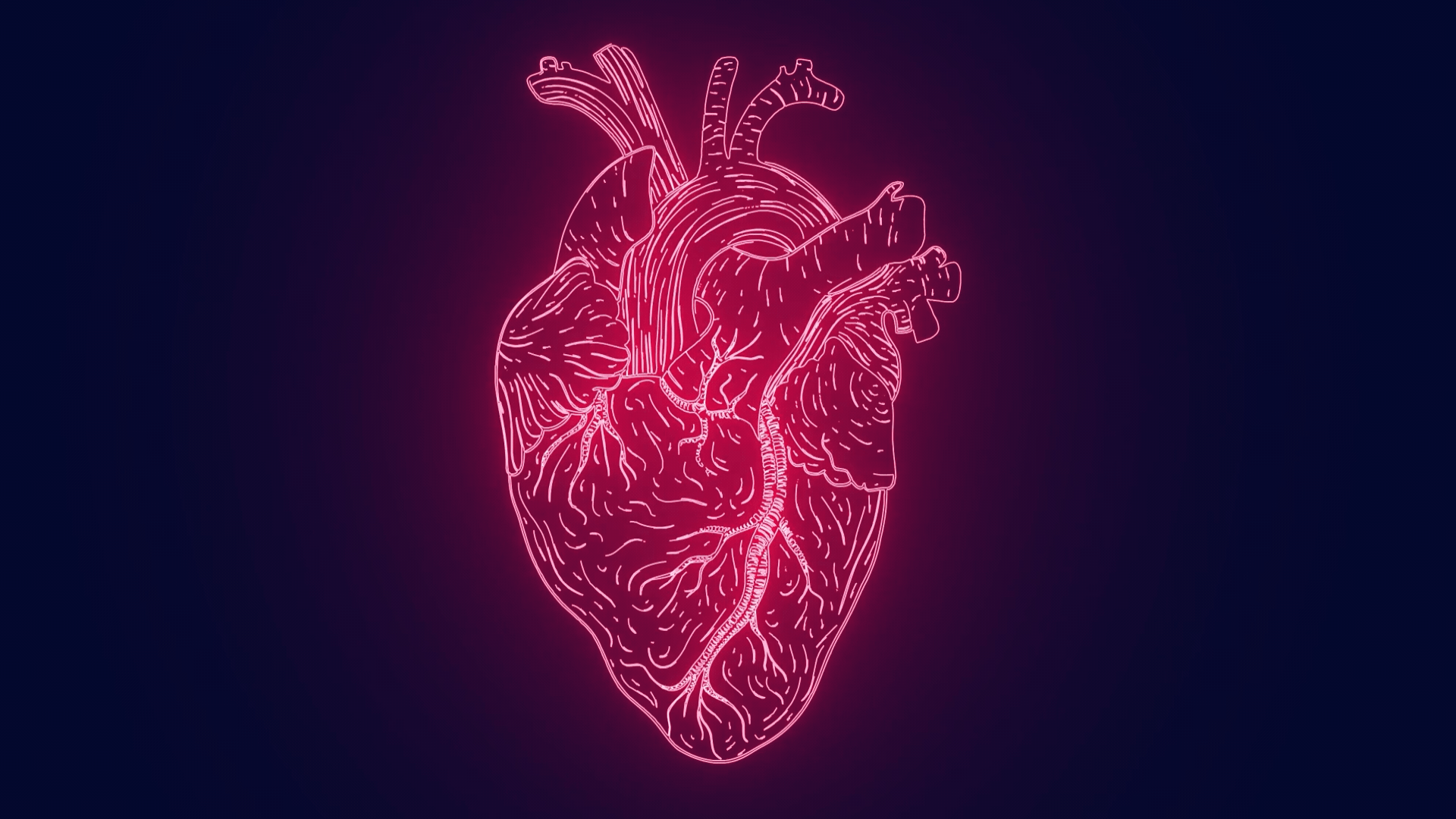 Signs in Cardiology
