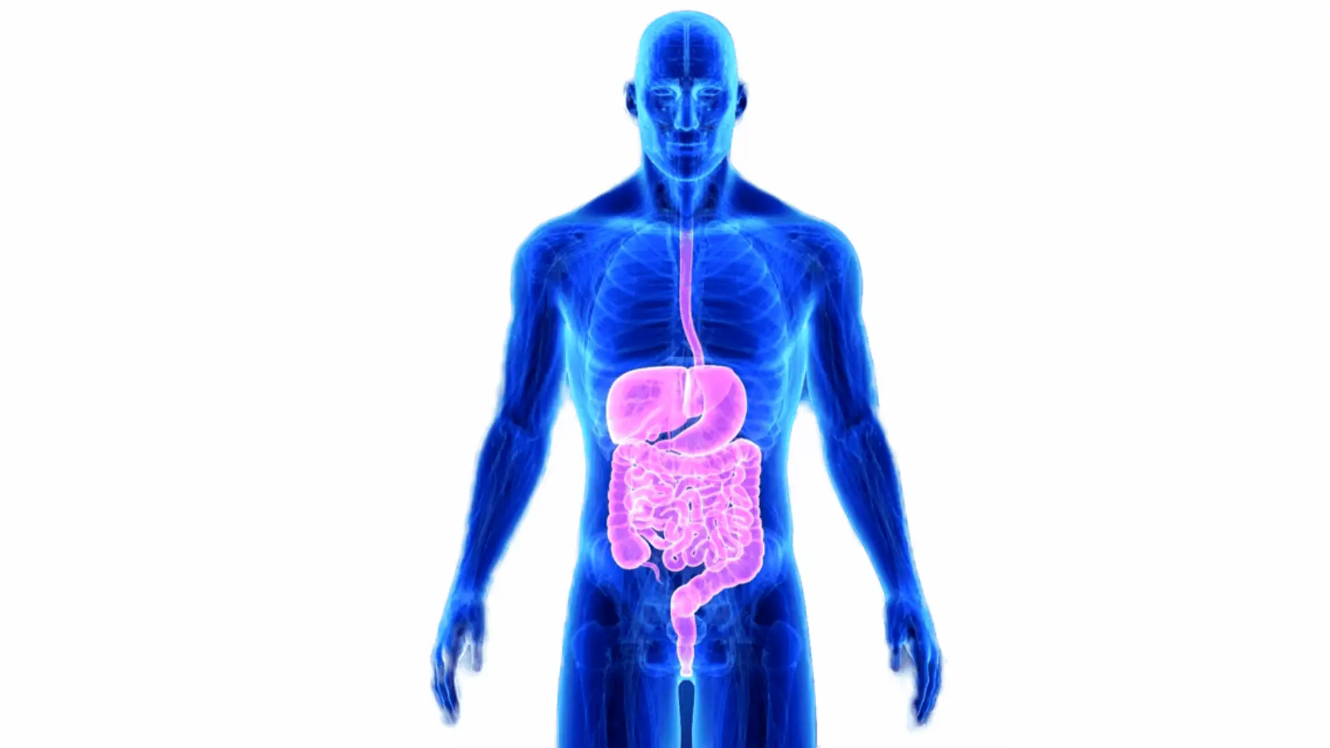Signs in Gastroenterology